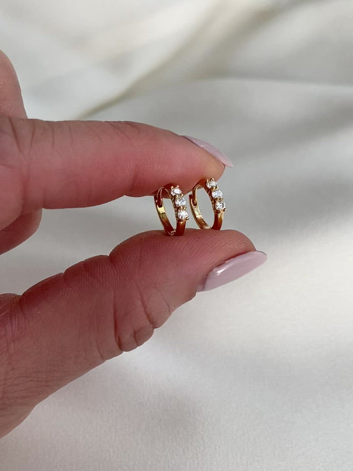 Elasisters Demi-Fine Taryn Hoop Earrings