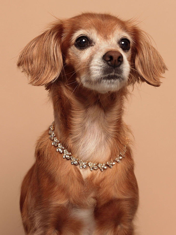 Elasisters Mini Lucy Necklace