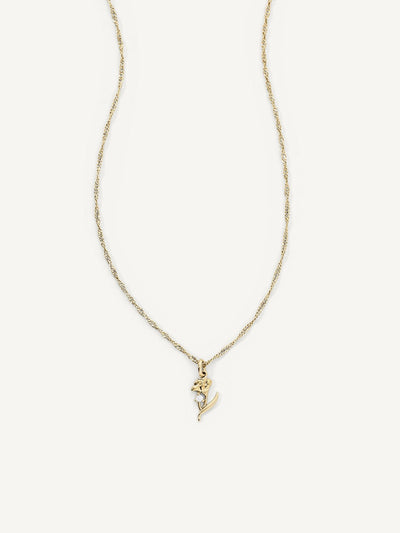 Elasisters January Carnation Birthday Flower Pendant Necklace