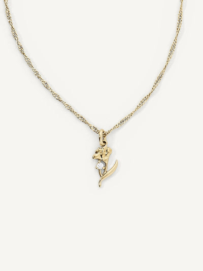 Elasisters January Carnation Birth Flower Pendant Necklace