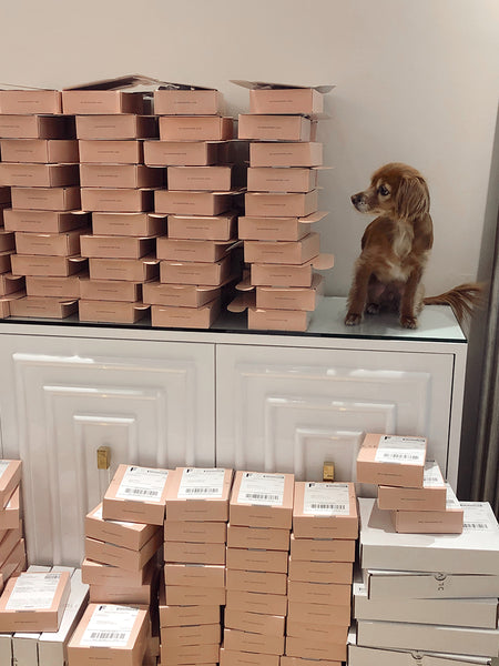 National Puppy Day | Ollie Packing Orders