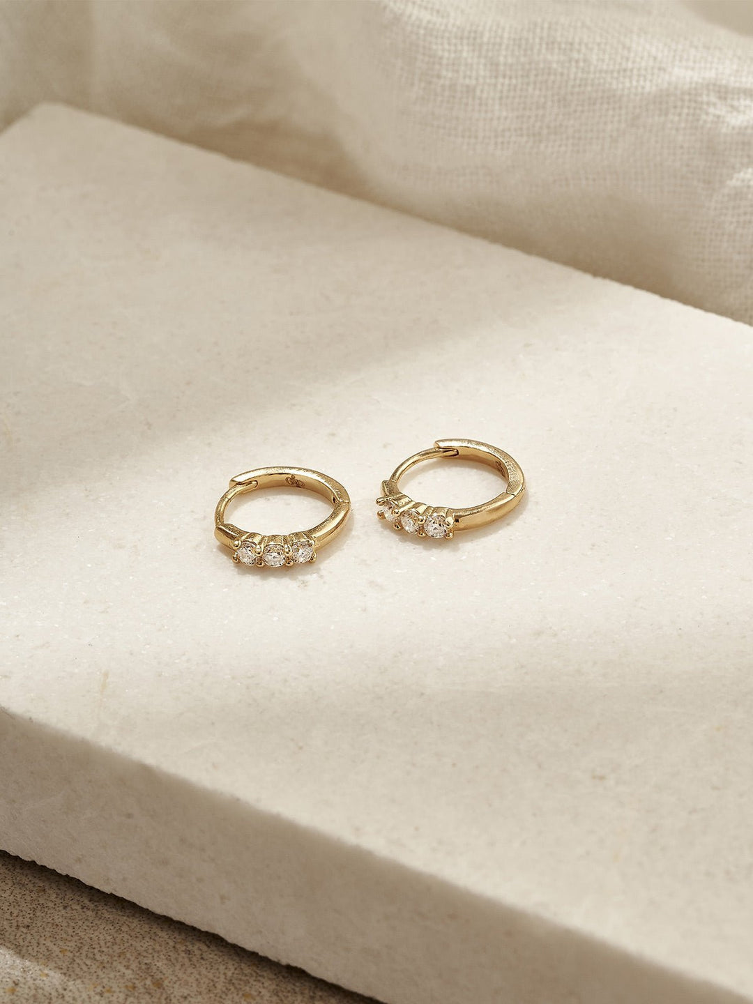 Elasisters Demi-Fine Taryn Hoop Earrings