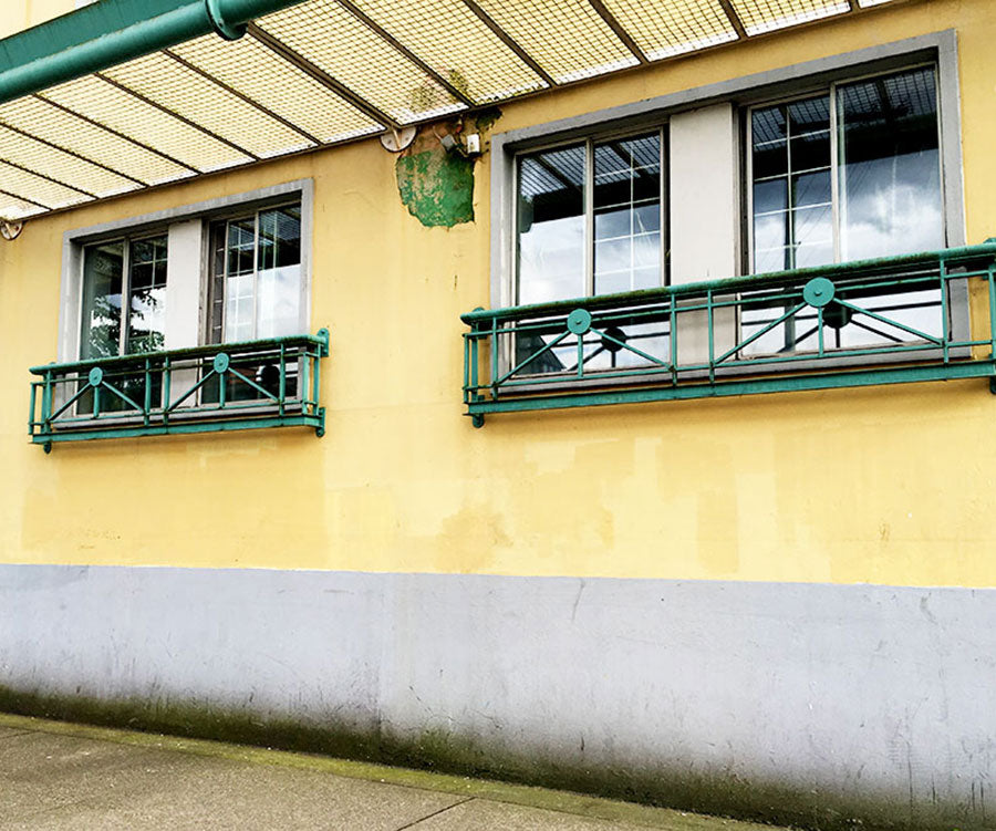 A Guide to Vancouver's Best Instagram Walls: elasisters